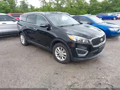 5XYPGDA31GG044250 2016 KIA SORENTO