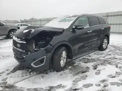 5XYPGDA31GG064580 2016 KIA SORENTO