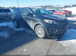5XYPGDA31GG088166 2016 KIA SORENTO