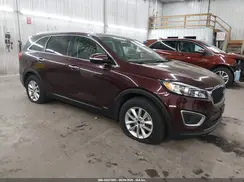 5XYPGDA31GG126530 2016 KIA SORENTO