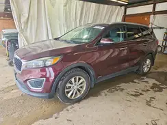 5XYPGDA31GG134370 2016 KIA SORENTO
