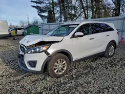 5XYPGDA31GG169572 2016 KIA SORENTO