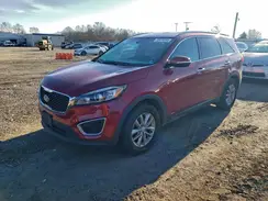 5XYPGDA31HG195784 2017 KIA SORENTO