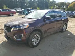 5XYPGDA31HG266367 2017 KIA SORENTO