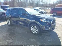 5XYPGDA31HG278535 2017 KIA SORENTO