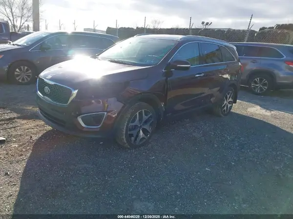 5XYPGDA31HG282956 2017 KIA SORENTO - Image 2