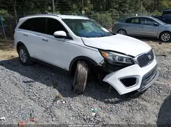 5XYPGDA31HG286117 2017 KIA SORENTO