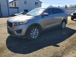 5XYPGDA31HG336384 2017 KIA SORENTO