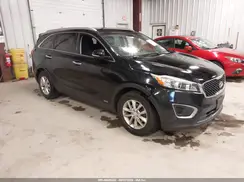 5XYPGDA32GG026887 2016 KIA SORENTO