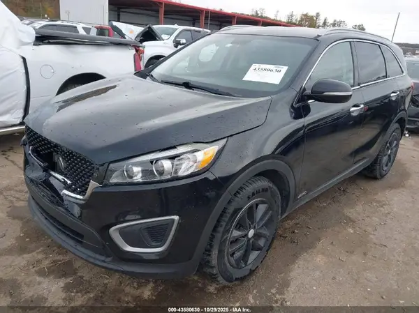 5XYPGDA32GG032558 2016 KIA SORENTO - Image 2