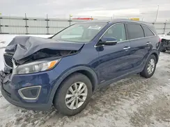 5XYPGDA32GG067293 2016 KIA SORENTO