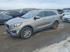5XYPGDA32GG088659 2016 KIA SORENTO