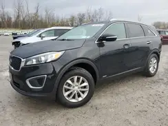 5XYPGDA32GG166311 2016 KIA SORENTO