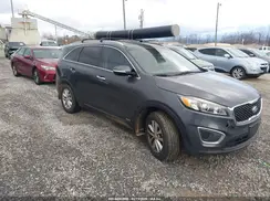 5XYPGDA32GG170679 2016 KIA SORENTO