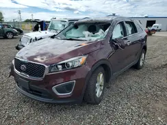 5XYPGDA32HG250677 2017 KIA SORENTO