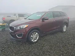 5XYPGDA32HG279354 2017 KIA SORENTO