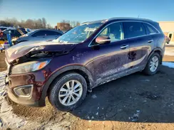 5XYPGDA32HG319013 2017 KIA SORENTO