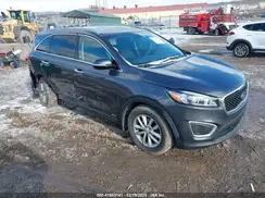 5XYPGDA33GG008964 2016 KIA SORENTO