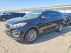 5XYPGDA33GG054780 2016 KIA SORENTO