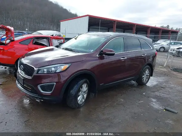 5XYPGDA33GG125542 2016 KIA SORENTO - Image 2