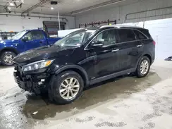 5XYPGDA33GG146813 2016 KIA SORENTO