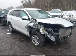 5XYPGDA33GG169573 2016 KIA SORENTO