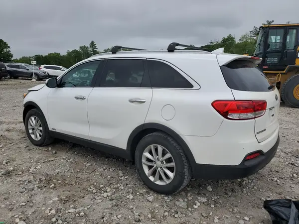 5XYPGDA33HG217591 2017 KIA SORENTO - Image 2