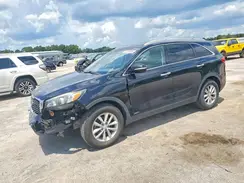 5XYPGDA33HG293943 2017 KIA SORENTO