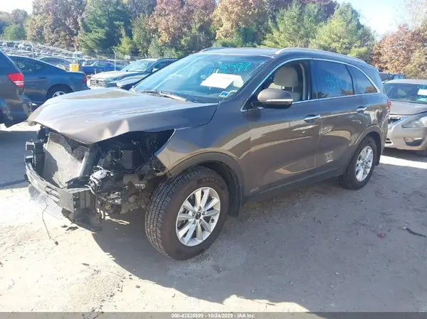5XYPGDA33KG454492 2019 KIA SORENTO - Image 2
