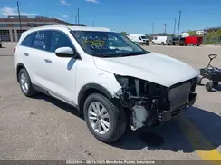 5XYPGDA33KG456341 2019 KIA SORENTO