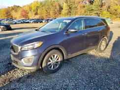5XYPGDA34GG062600 2016 KIA SORENTO