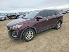 5XYPGDA34GG073774 2016 KIA SORENTO