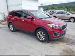 5XYPGDA34GG137232 2016 KIA SORENTO