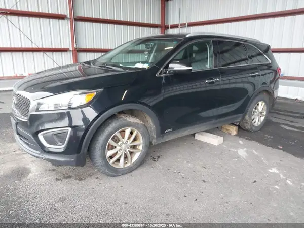 5XYPGDA34HG334631 2017 KIA SORENTO - Image 2