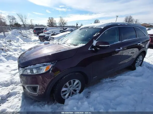 5XYPGDA35GG074187 2016 KIA SORENTO - Image 2