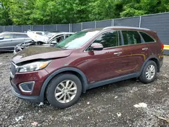 5XYPGDA35GG127082 2016 KIA SORENTO