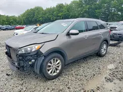 5XYPGDA35GG148224 2016 KIA SORENTO