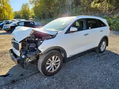 5XYPGDA35HG229354 2017 KIA SORENTO