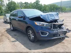 5XYPGDA35HG300343 2017 KIA SORENTO