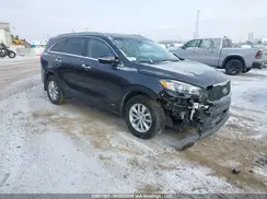 5XYPGDA35HG331348 2017 KIA SORENTO