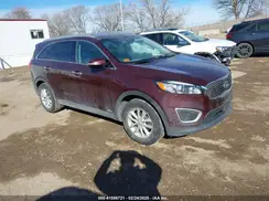 5XYPGDA35HG331690 2017 KIA SORENTO