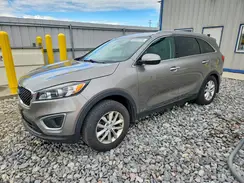 5XYPGDA35JG367546 2018 KIA SORENTO