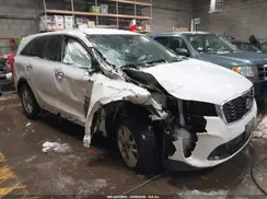 5XYPGDA35LG679160 2020 KIA SORENTO