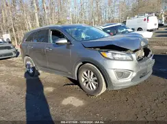 5XYPGDA36GG101686 2016 KIA SORENTO