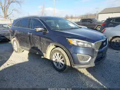 5XYPGDA36GG113014 2016 KIA SORENTO