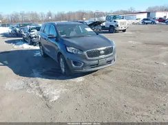 5XYPGDA36GG156557 2016 KIA SORENTO