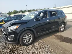 5XYPGDA36HG199555 2017 KIA SORENTO