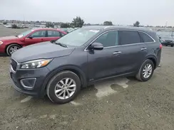 5XYPGDA36HG243568 2017 KIA SORENTO
