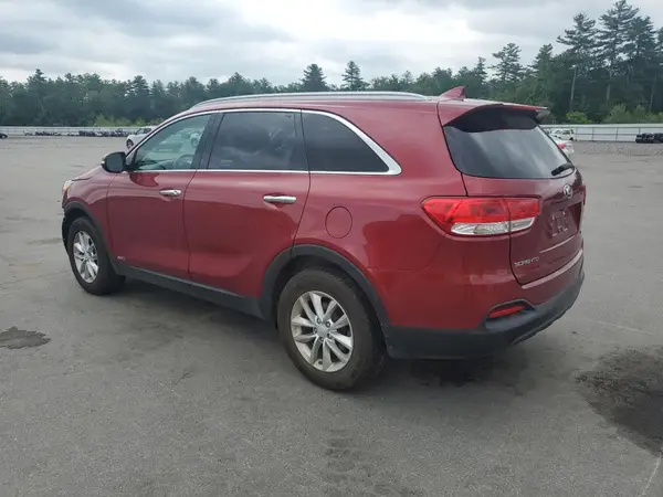 5XYPGDA36HG289336 2017 KIA SORENTO - Image 2