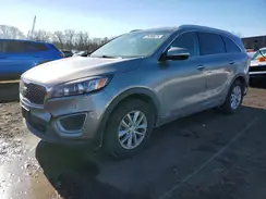 5XYPGDA36JG426796 2018 KIA SORENTO